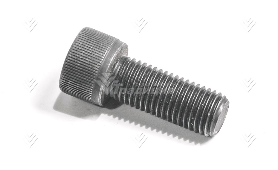 Винт крышки распределителя Delta FX45 SOCKET BOLT DFX45-SB2025055 картинка