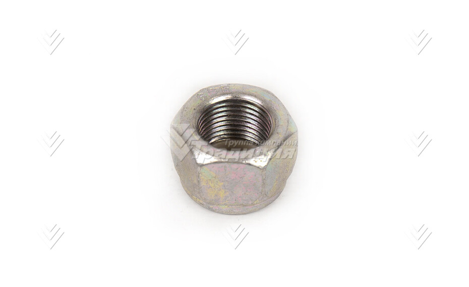 гайка к молотку Berti тип "A" DE18AL6SPFZAB DADO18х1.5-6S-ZINC UNI7473 картинка